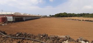 문경필님의 마늘 · 영농일지 작성글 사진