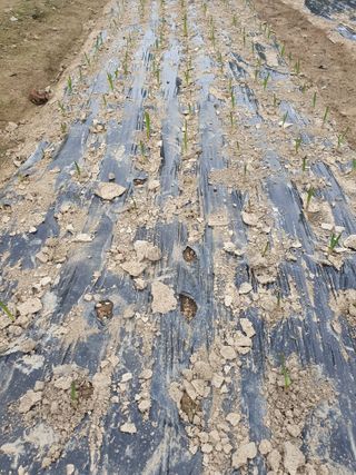 김철원,바람산인님의 자유주제 · 자유게시판 작성글 사진