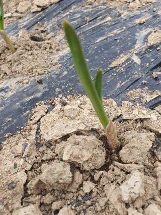 김철원,바람산인님의 자유주제 · 자유게시판 작성글 사진