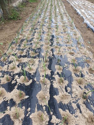 김철원,바람산인님의 자유주제 · 자유게시판 작성글 사진