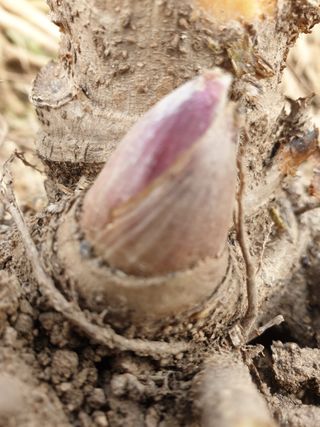 오아성님의 작성글 사진