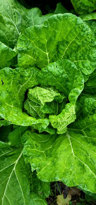 범이님의 작성글 사진