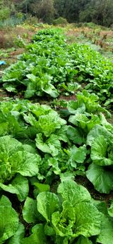 범이님의 작성글 사진