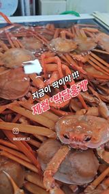 팜모닝 자유주제·사진전 게시글 이미지