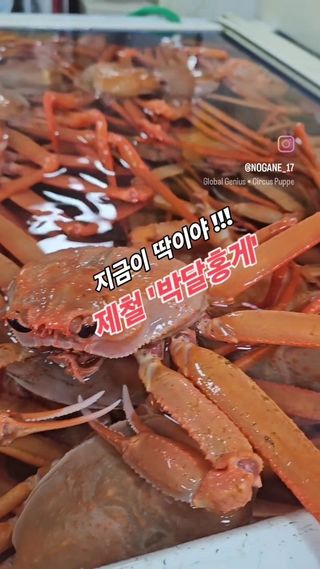 노가네수산님의 자유주제 · 사진전 작성글 사진