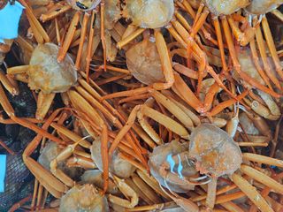 노가네수산님의 자유주제 · 사진전 작성글 사진