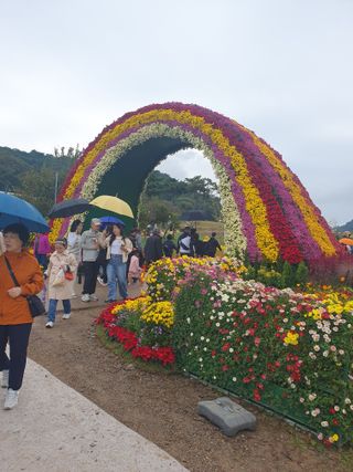 작은소나무님의 자유주제 · 자유게시판 작성글 사진