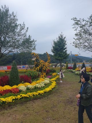 작은소나무님의 자유주제 · 자유게시판 작성글 사진