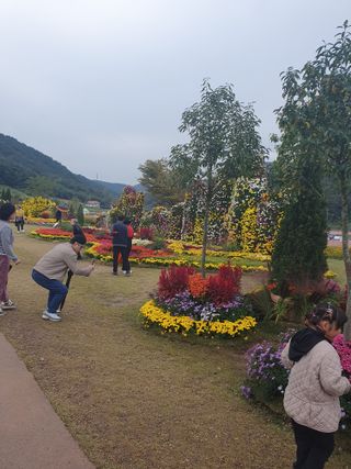 작은소나무님의 자유주제 · 자유게시판 작성글 사진