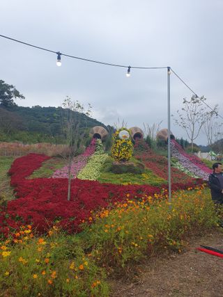 작은소나무님의 자유주제 · 자유게시판 작성글 사진