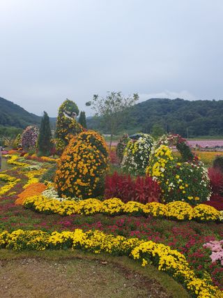 작은소나무님의 자유주제 · 자유게시판 작성글 사진