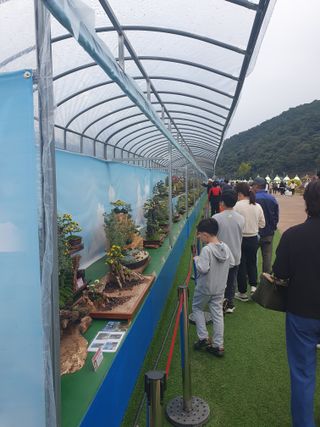 작은소나무님의 자유주제 · 자유게시판 작성글 사진