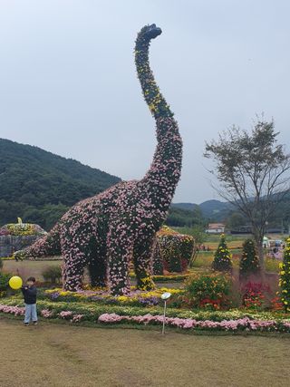 작은소나무님의 자유주제 · 자유게시판 작성글 사진