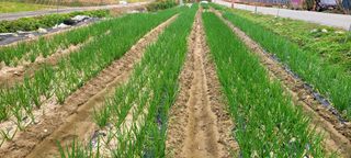 심기섭님의 자유주제 · 자유게시판 작성글 사진