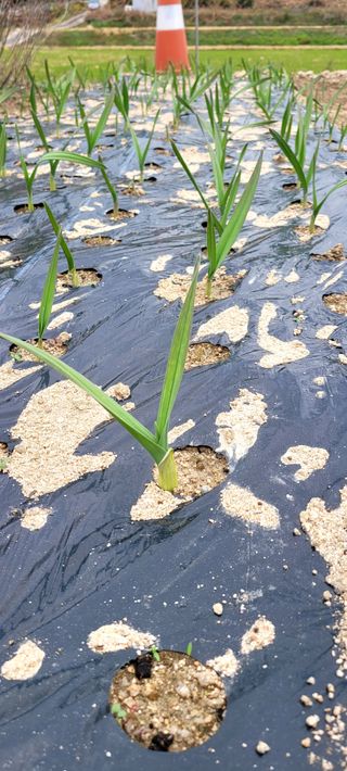 심기섭님의 자유주제 · 자유게시판 작성글 사진