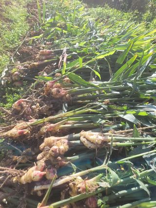 김금자님의 자유주제 · 자유게시판 작성글 사진