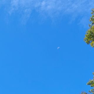 여우내 이순홍님의 우리동네 가을단풍 자랑하기 · 참여글 작성글 사진