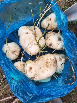 고인석님의 자유주제 · 사진전 작성글 사진