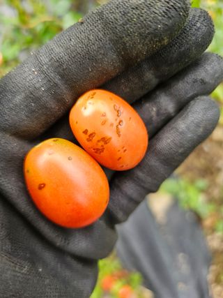 박소원님의 자유주제 · 자유게시판 작성글 사진