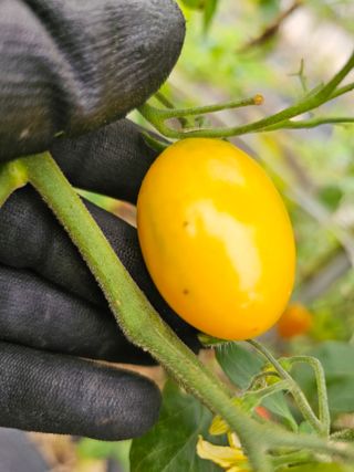 박소원님의 자유주제 · 자유게시판 작성글 사진