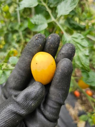 박소원님의 자유주제 · 자유게시판 작성글 사진