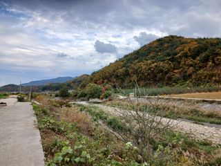 알 수 없음님의 우리동네 가을단풍 자랑하기 · 참여글 작성글 사진