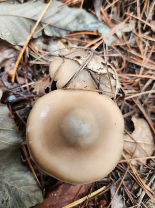 김영옥님의 자유주제 · 자유게시판 작성글 사진