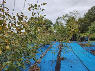 김영옥님의 자유주제 · 자유게시판 작성글 사진