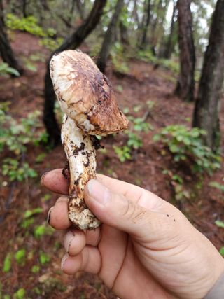 김영옥님의 자유주제 · 자유게시판 작성글 사진