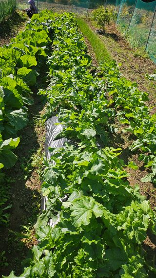 이원복님의 자유주제 · 사진전 작성글 사진