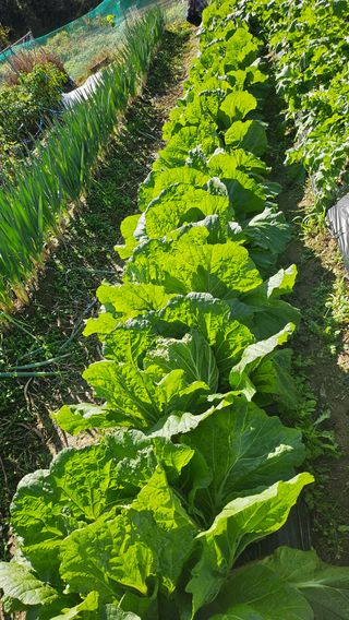 이원복님의 자유주제 · 사진전 작성글 사진