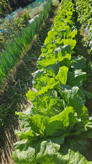 이원복님의 자유주제 · 사진전 작성글 사진