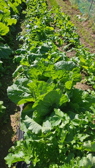 이원복님의 자유주제 · 사진전 작성글 사진