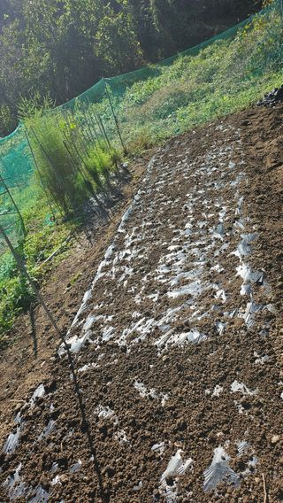 이원복님의 자유주제 · 사진전 작성글 사진