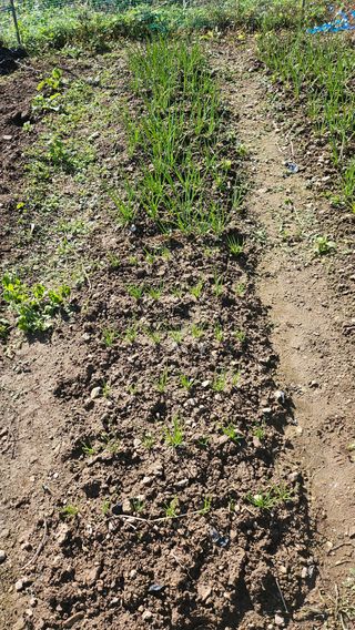 이원복님의 자유주제 · 사진전 작성글 사진