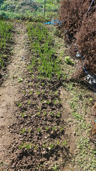 이원복님의 자유주제 · 사진전 작성글 사진