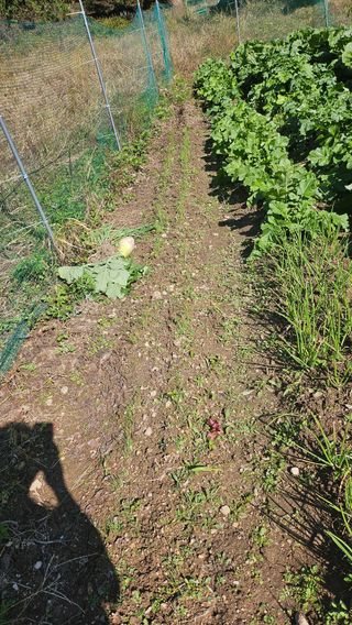이원복님의 자유주제 · 사진전 작성글 사진