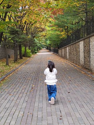박순례님의 우리동네 가을단풍 자랑하기 · 참여글 작성글 사진