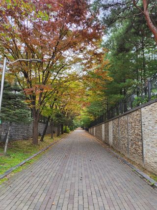 박순례님의 우리동네 가을단풍 자랑하기 · 참여글 작성글 사진
