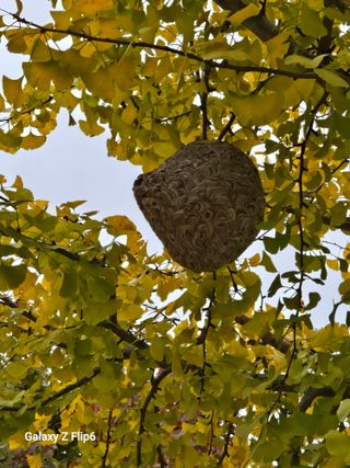 박현주님의 자유주제 · 자유게시판 작성글 사진