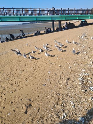 전희분님의 우리동네 가을단풍 자랑하기 · 참여글 작성글 사진