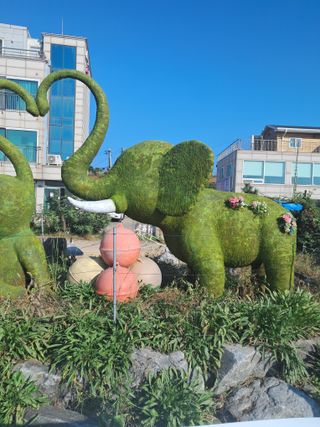 전희분님의 우리동네 가을단풍 자랑하기 · 참여글 작성글 사진