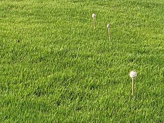 김태영농기계님의 자유주제 · 자유게시판 작성글 사진