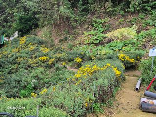 짱순이연속8월출석왕님의 우리동네 가을단풍 자랑하기 · 참여글 작성글 사진