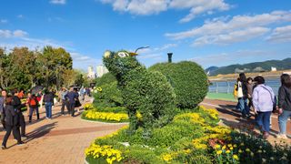 초보퍼머5도2촌준비님의 우리동네 가을단풍 자랑하기 · 참여글 작성글 사진