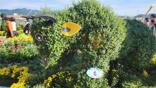 초보퍼머5도2촌준비님의 우리동네 가을단풍 자랑하기 · 참여글 작성글 사진