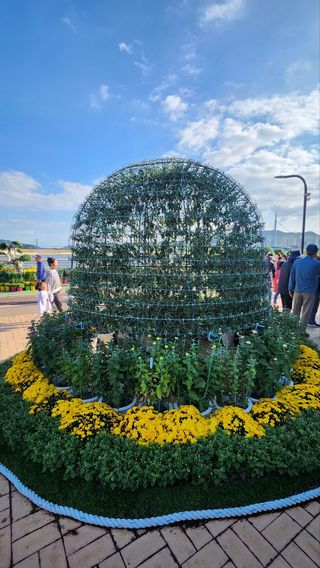 초보퍼머5도2촌준비님의 우리동네 가을단풍 자랑하기 · 참여글 작성글 사진