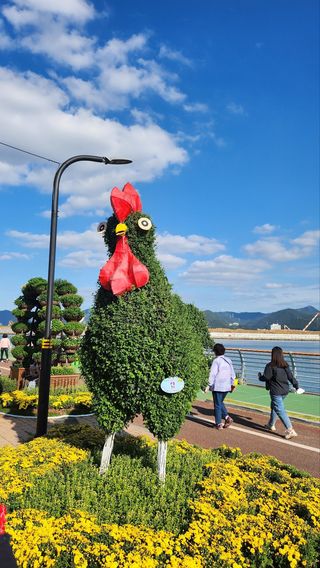 초보퍼머5도2촌준비님의 우리동네 가을단풍 자랑하기 · 참여글 작성글 사진