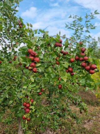 유재현님의 자유주제 · 자유게시판 작성글 사진