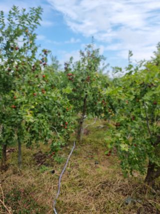 유재현님의 자유주제 · 자유게시판 작성글 사진